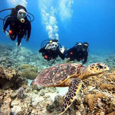 Marine life in Red sea